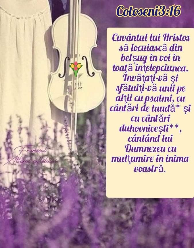 Album versete biblice 8